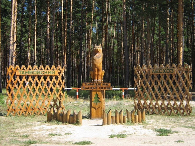 Памятник тамбовскому волку. Фото: Мой Тамбов / ВКонтакте###https://vk.com/wall-124728567_1124844?ysclid=mdn1fp8nwm220510784