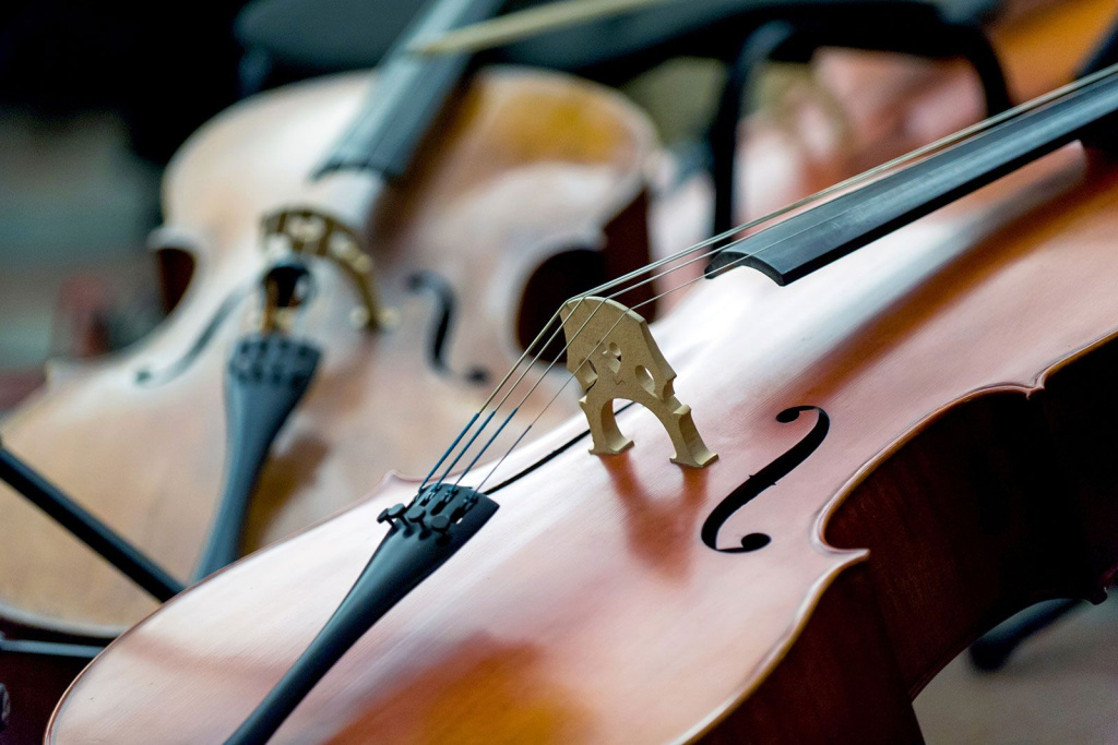 Фото: mos.ru (CC BY 4.0)###https://www.mos.ru/news/item/152421073/ Фото: mos.ru (CC BY 4.0)###https://www.mos.ru/news/item/152421073/