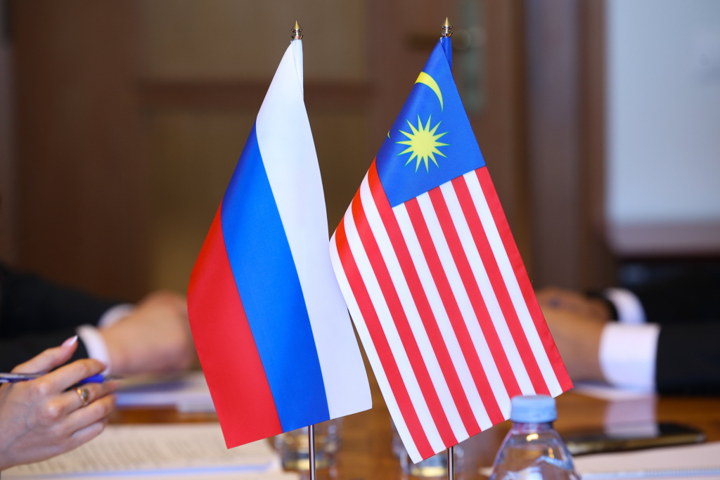 Фото: council.gov.ru (CC BY 4.0)###http://council.gov.ru/events/news/168722/?hl=%D0%BC%D0%B0%D0%BB%D0%B0%D0%B9%D0%B7%D0%B8%D1%8F