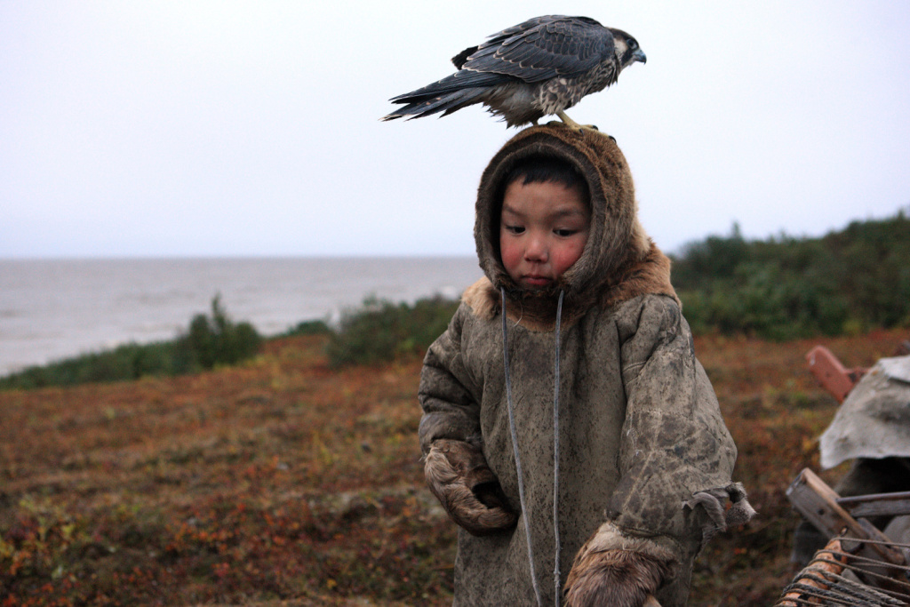 Андрей Романов. «Маленький варг». Фото: официальный сайт конкурса «Самая красивая страна»###https://photo.rgo.ru/winners/ 