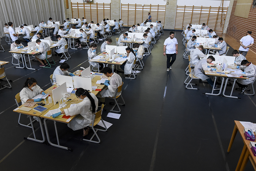 Международная биологическая олимпиада, практический тур. Фото: International Biology Olympiad###https://www.ibo-info.org/en/