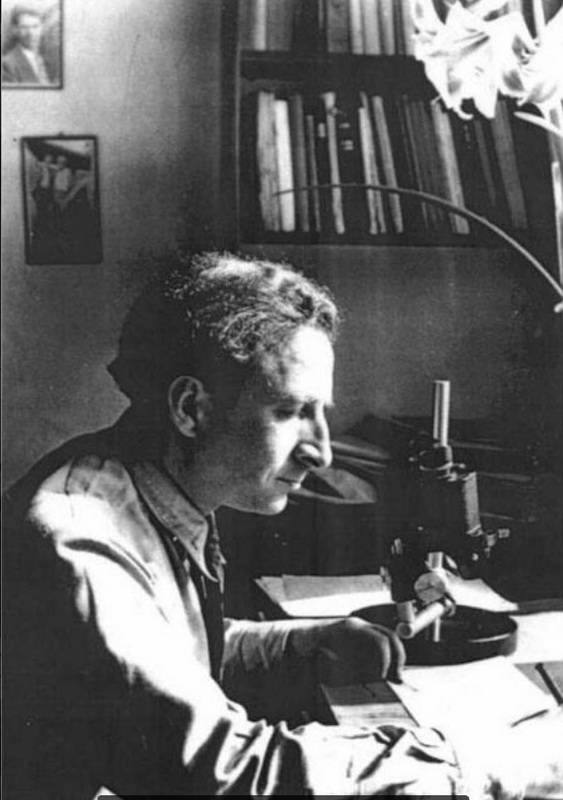 Н. В. Тимофеев-Ресовский. Фото: Росатом###https://www.biblioatom.ru/persons/timofeev-resovskiy_nikolay_vladimirovich/