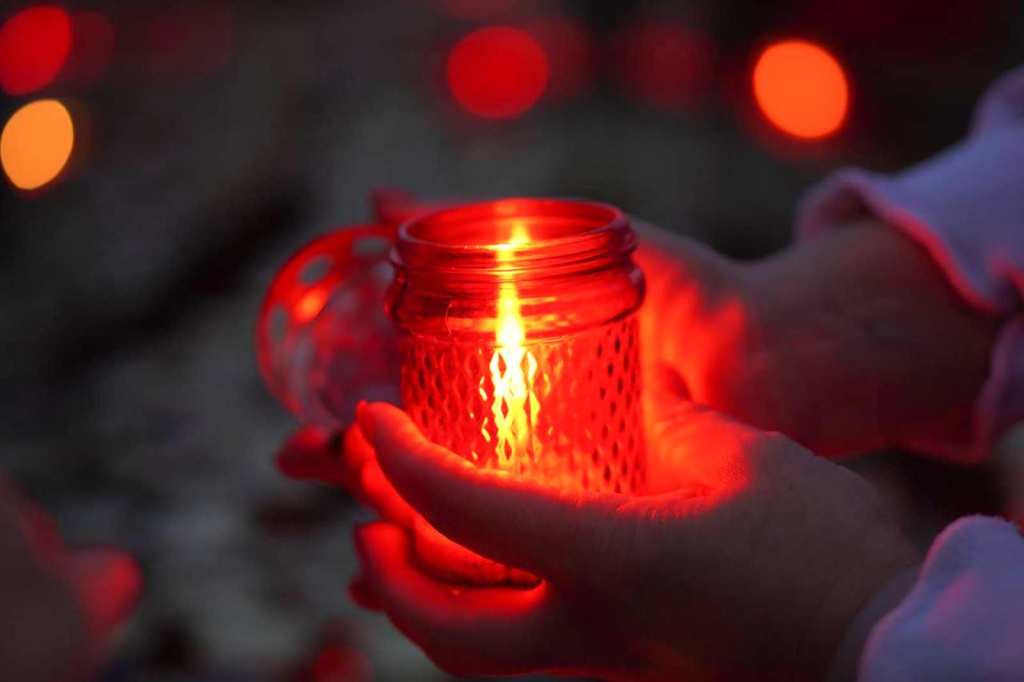 Фото: пресс-служба Департамента образования и науки города Москвы / mos.ru (CC BY 4.0)###https://www.mos.ru/news/item/155563073/