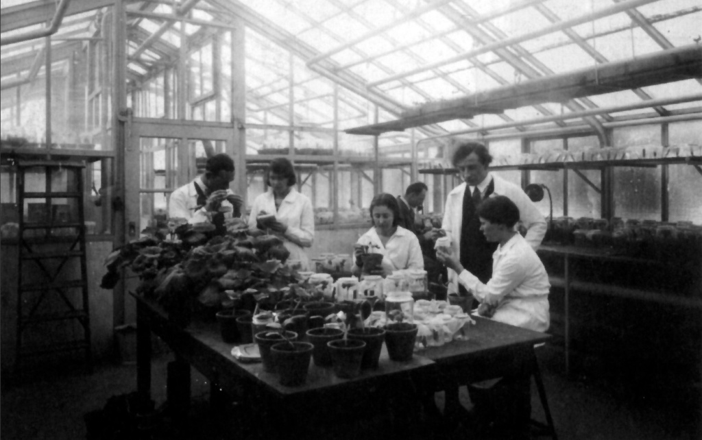 Н. В. Тимофеев-Ресовский в лаборатории. Берлин, 1935 г. Фото: «Устная история»###https://oralhistory.ru/talks/orh-622