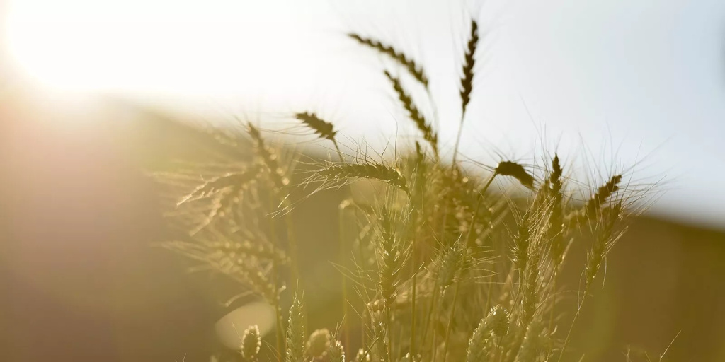 Фото: mos.ru (CC BY 4.0)###https://www.mos.ru/news/item/88701073/