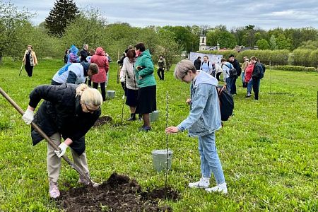 Волонтёры Победы посадили Сад памяти в Ташкенте