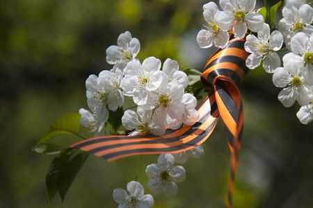 В Боливии состоялась церемония открытия «Сада памяти» в честь героев Великой Отечественной войны