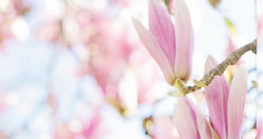 Поздравляем с  Международным женским днём!