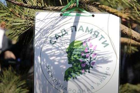 «Сад памяти» высадили в египетской Хургаде